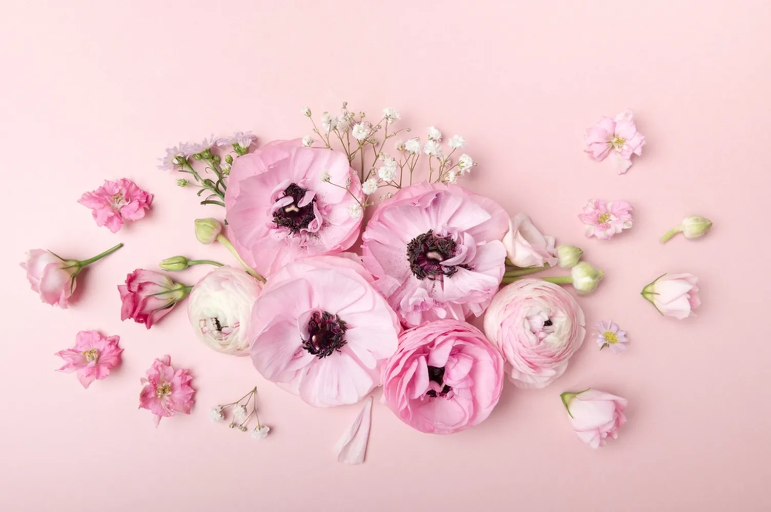 پوستر دیواری سه بعدی کلینیک زیبایی طرح گلهای صورتی